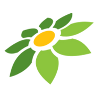 LOGO ANIME